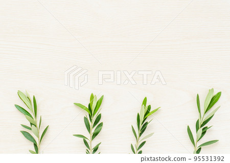 木紋上的橄欖葉背景 95531392