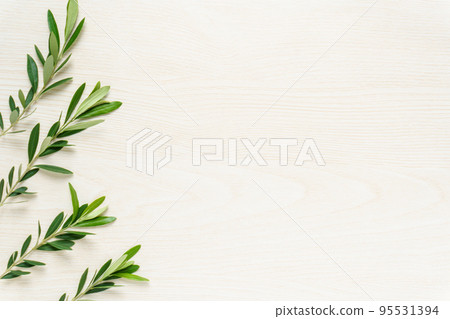 Olive leaf background on wood grain Olive leaf background on wood grain 95531394