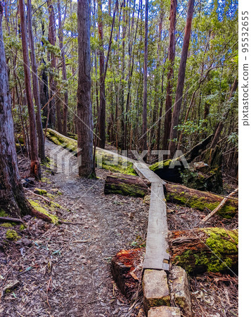 Mt Wellington Bike Network in Hobart Tasmania Australia Mt Wellington Bike Network in Hobart Tasmania Australia 95532655