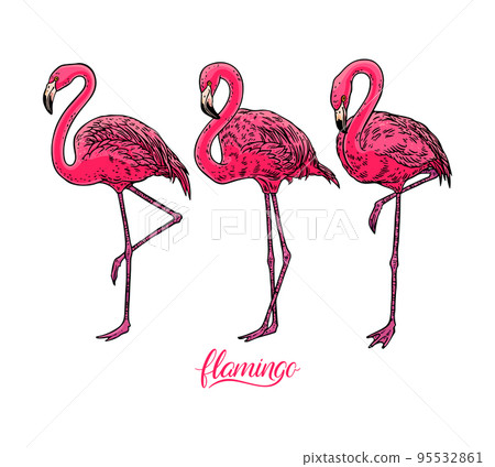 set of cute flamingos 95532861