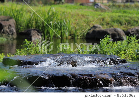 Spring water at Maruike Park in Tamagawa, Shimizu-cho, Sunto-gun, Shizuoka Prefecture 95533062