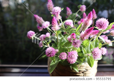 decorate the bay window with pink flowers decorate the bay window with pink flowers 95533795
