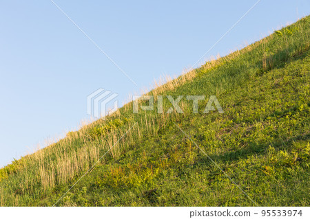 Omuroyama of Izu 95533974