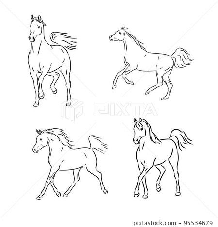 A black horse sketch, vector, color drawing or illustration. 95534679
