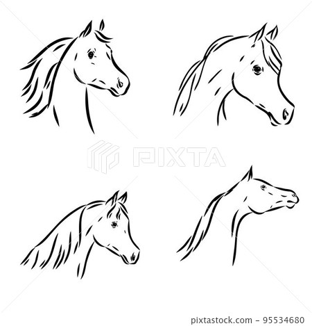 A black horse sketch, vector, color drawing or illustration. 95534680