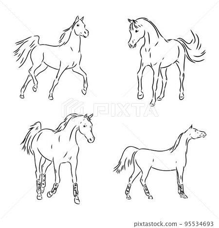 A black horse sketch, vector, color drawing or illustration. 95534693