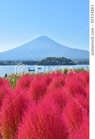 大石公園、富士山和河口湖、山梨縣的地膚子 大石公園、富士山和河口湖、山梨縣的地膚子 95534861
