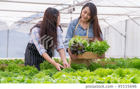 Asian woman farmer holding a vegetable basket of fresh vegetable salad on an organic farm. Concept of agriculture organic for health, Vegan food, and Small business. 95535696