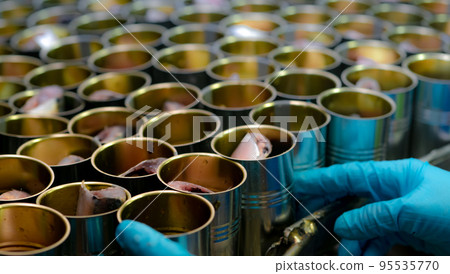 Canned fish factory. Food industry. Food processing production line. Food manufacturing industry. Many can of sardines on a conveyor belt. Workers working in food processing factory. Cans industry. Canned fish factory. Food industry. Food processing production line. Food manufacturing industry. Many can of sardines on a conveyor belt. Workers working in food processing factory. Cans industry. 95535770