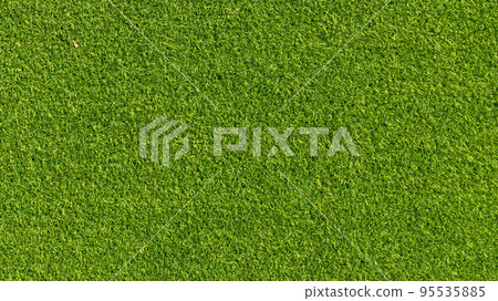 Artificial grass carpet background. Artificial grass. 95535885