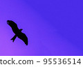Silhouette eagle flying at sunset 95536514