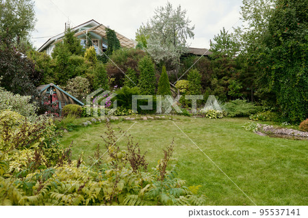 Wide green lawn surrounded by variety of plants, bushes and trees Wide green lawn surrounded by variety of plants, bushes and trees 95537141