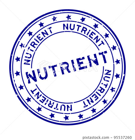 Grunge blue nutrient word with star icon round rubber seal stamp on white background Grunge blue nutrient word with star icon round rubber seal stamp on white background 95537260