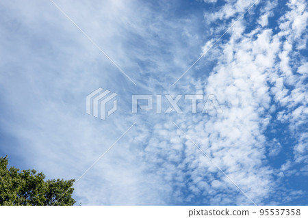 Autumn sky and grove Autumn sky and grove 95537358