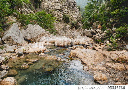 Trees and stones in river in Goynuk Canyon. Mountain slopes in Beydaglari Coastal National Park. Turkey. 95537786