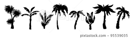 Palm trees silhouettes. Variety exotic plants, black tropical jungle elements, summer flora, rainforest objects, botanical subtropical climate branches, swanky vector isolated set 95539035