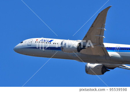 All Nippon Airways (ANA) passenger plane B787-9 95539598
