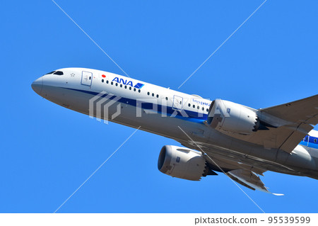 All Nippon Airways (ANA) passenger plane B787-9 95539599