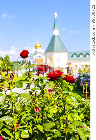 Roses flowers on the background of tower of Valday Iversky Monastery Roses flowers on the background of tower of Valday Iversky Monastery 95539722