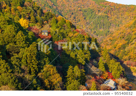 佐賀嵐山的秋天，京都千光寺的秋葉從嵐山公園觀景台看 95540032