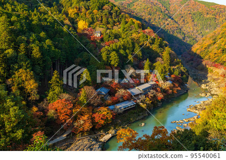 京都嵯峨嵐山的秋天,保津峽谷(Rankyo)的秋葉,從嵐山公園觀景台觀看 京都嵯峨嵐山的秋天,保津峽谷(Rankyo)的秋葉,從嵐山公園觀景台觀看 95540061