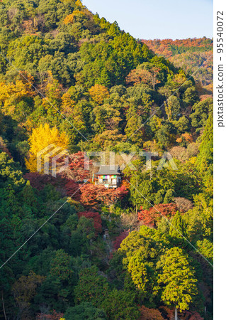 佐賀嵐山的秋天,京都千光寺的秋葉從嵐山公園觀景台看 佐賀嵐山的秋天,京都千光寺的秋葉從嵐山公園觀景台看 95540072