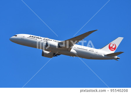 Japan Airlines (JAL) passenger plane B787-8 95540208