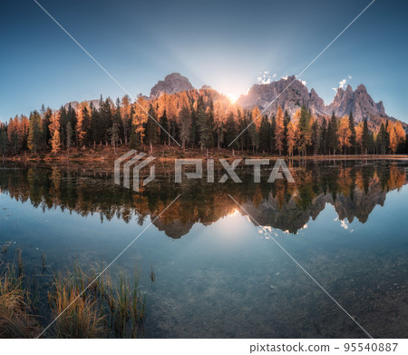 Lake with perfect reflection in water and orange trees at sunrise 95540887