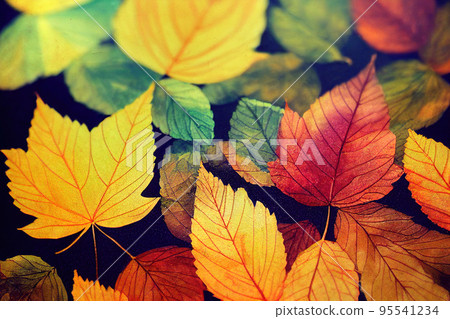 Beautiful Autumn Leaves Backgrounds - Aquarel Illustration 95541234