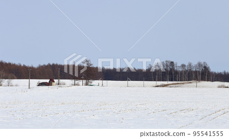 北海道十勝地區的農場風景 北海道十勝地區的農場風景 95541555