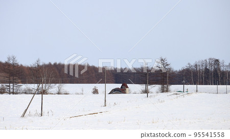 北海道十勝地區的農場風景 95541558
