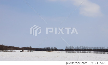 北海道十勝地區的農場風景 95541563