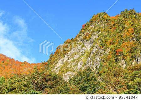 Kinshu no Akiyama-go Fuiwa Kinshu no Akiyama-go Fuiwa 95541847