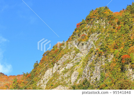 Kinshu no Akiyama-go Fuiwa Kinshu no Akiyama-go Fuiwa 95541848