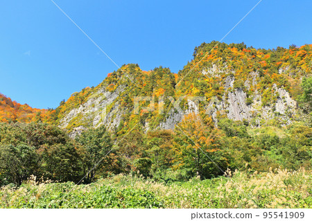 錦州秋山鄉風羽 錦州秋山鄉風羽 95541909