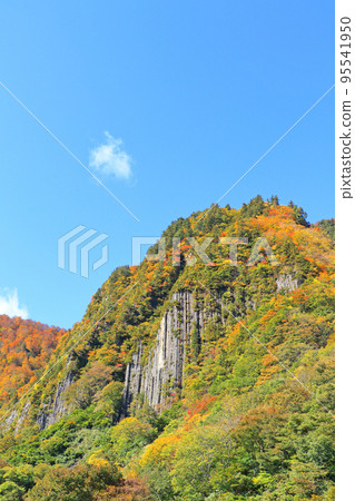 Kinshu no Akiyama-go Fuiwa 95541950