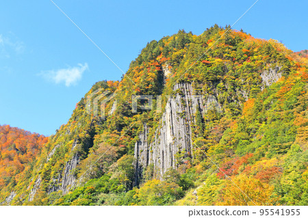 Kinshu no Akiyama-go Fuiwa 95541955