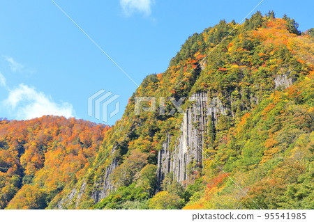 Kinshu no Akiyama-go Fuiwa Kinshu no Akiyama-go Fuiwa 95541985