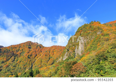 Kinshu no Akiyama-go Fuiwa Kinshu no Akiyama-go Fuiwa 95542203