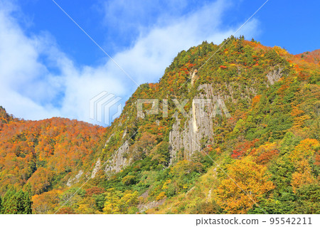 Kinshu no Akiyama-go Fuiwa 95542211