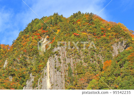 錦州秋山鄉風羽 錦州秋山鄉風羽 95542235