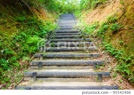 安裝在山路上的原木樓梯 安裝在山路上的原木樓梯 95542486