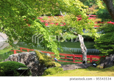 Blue leaves 95543534