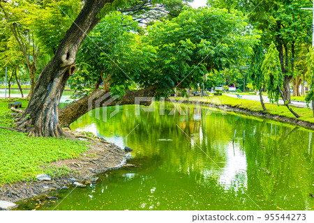 urban oasis lumphini park urban oasis lumphini park 95544273