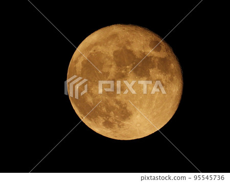 Moon Moon 95545736