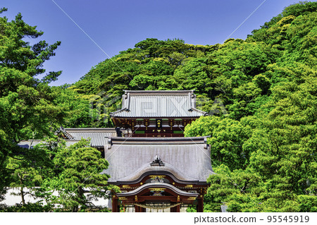 Kamakura Tsurugaoka Hachimangu Shrine和Mai 95545919