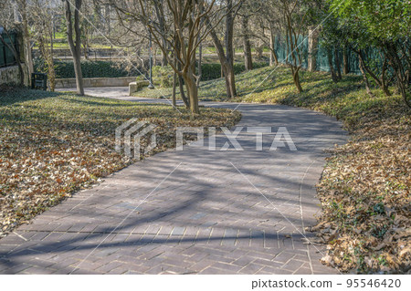 Winding paved walkway in San Antonio Texas amidst ground covered with leaves 95546420