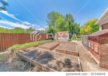 Chicken coop and grow beds at the backyard of a home on a sunny day 95546649
