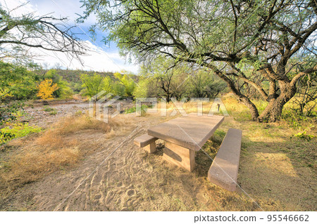 Campgrounds surrounded by trees at Sabino Canyon State Park in Tucson, Arizona Campgrounds surrounded by trees at Sabino Canyon State Park in Tucson, Arizona 95546662