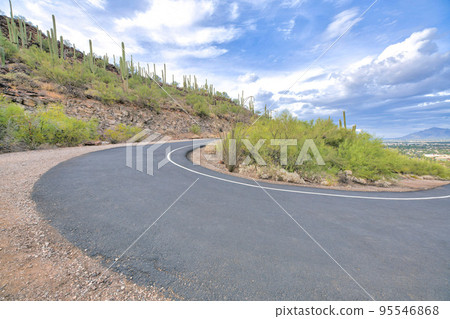 U-shaped concrete bike path and walkin pathway near a slope with saguaro cactuses at Tucson, AZ 95546868